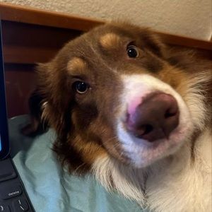 Meet your Posher, Aaron